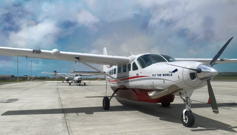 FTW aircraft Lineup 768x439