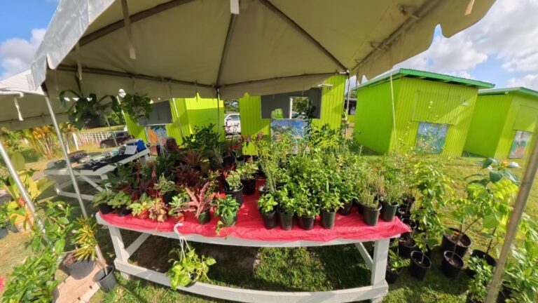 Farmers Market 2026 screenshot Plants resized 768x432