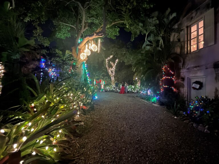 Garden of lights Resized IMG 1656 768x576