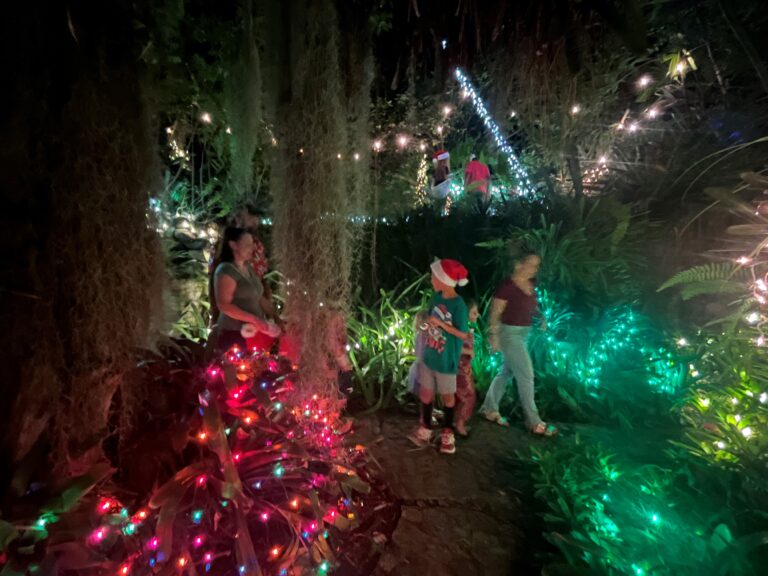 Garden of lights resized IMG 1659 768x576
