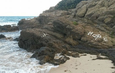 Ha Penny Beach Hope