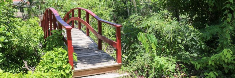 Hero 1920x640 PC Botanical Gardens 768x256