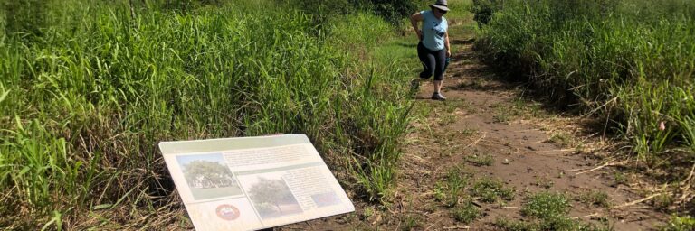 Hero 1920x640 Southgate Coastal Reserve traIL signage 768x256
