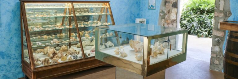 Hero 1920x640 StGeorge seashell Museum 768x256