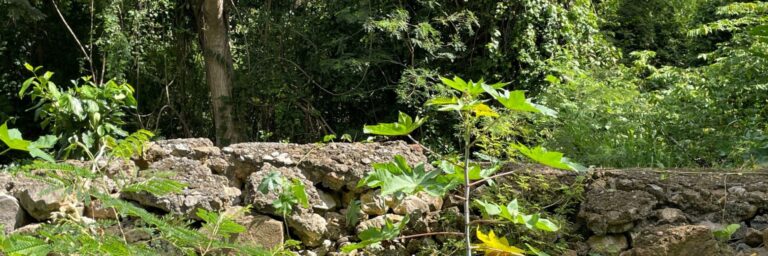 Hero 1920x640 Windsor Farm Trails goto 768x256