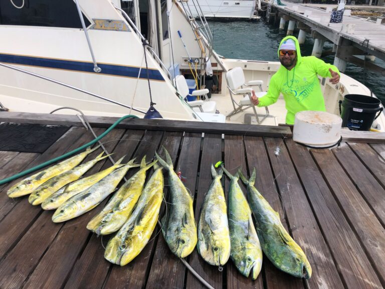 Lioness Sport Fishing 9 resized 768x576