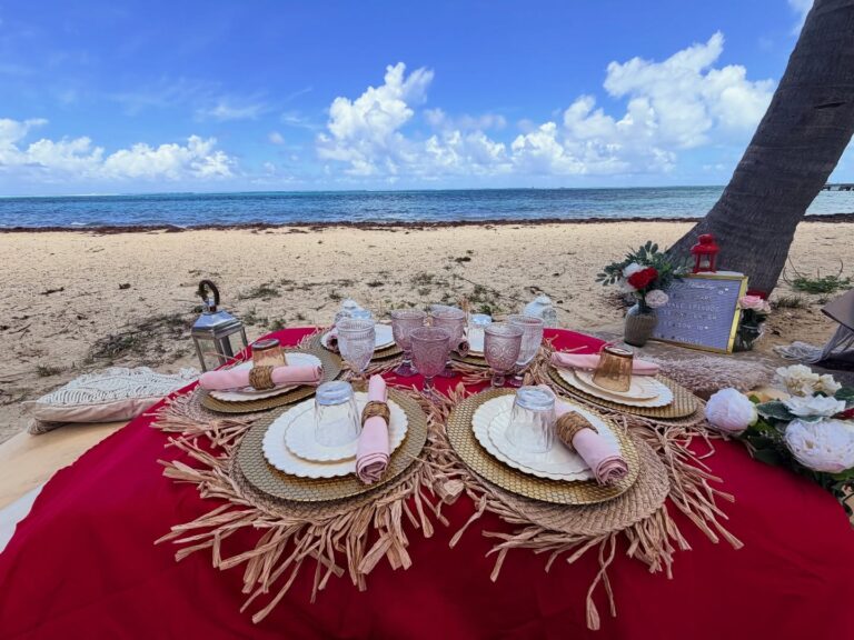 Lush Picnic 1 768x576