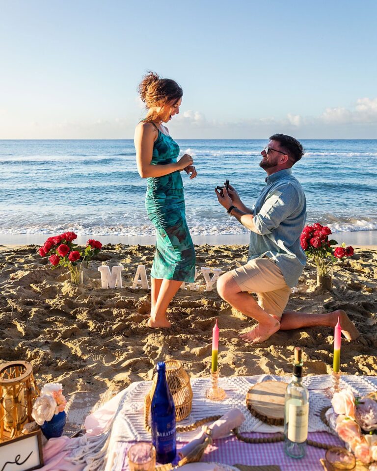 Lush Picnic 2026 3 768x960