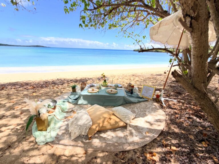 Lush Picnic 6 768x576