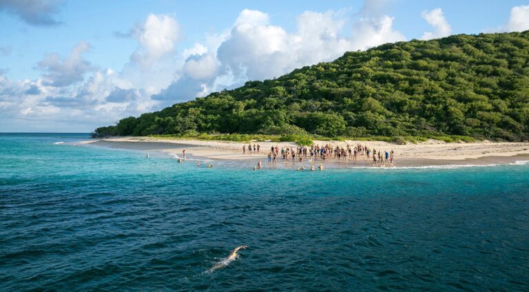 St croix swim race 768x424
