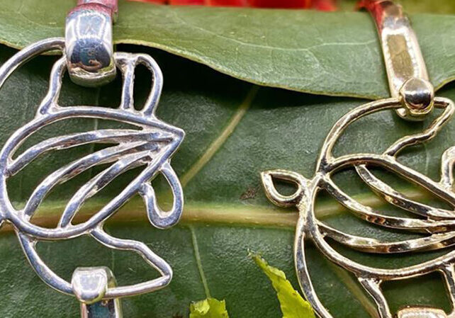 edit_crucian-gold_leatherback-sea-turtles-for-SEA_fb