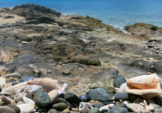 Leave Paradise in its Place