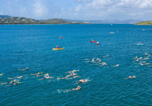 event_coral-reef-swim_dji-0938_054397-tsml-large