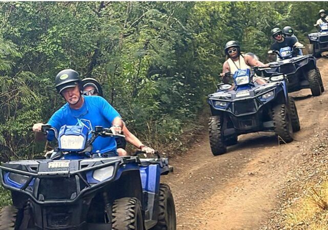 feat_gecko_island_adventure_2