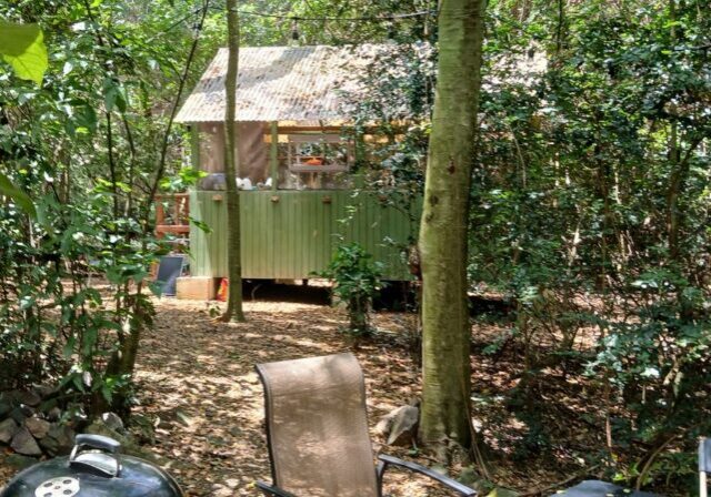 feat_nest_at_cane_bay_17