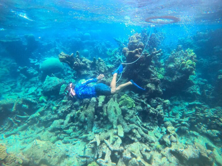 big beards kid snorkeling buck island fb 768x576