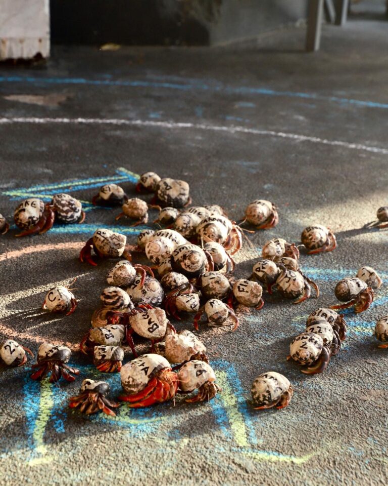 brew stx crab races fb 768x960