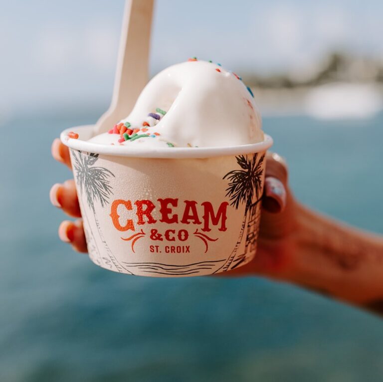 cream co ice cream bowl fb 768x766