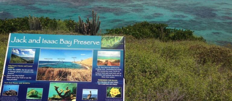 edit beach guide jacks bay 1024x448 1 768x336