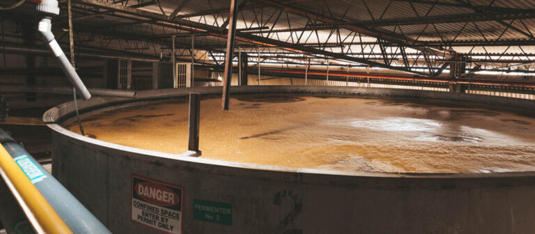edit cruzan rum fermenting tanks 0166 1024x448 2 768x336
