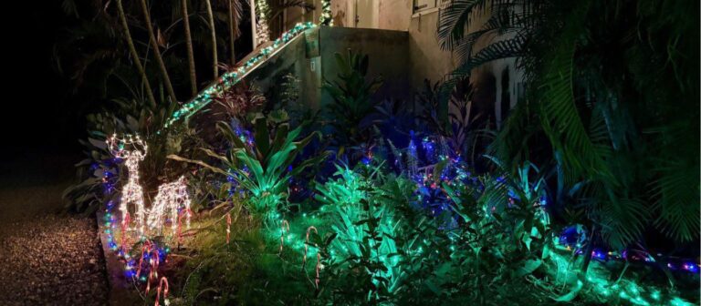 feat garden of lights 4 cr stcroixsource 768x336