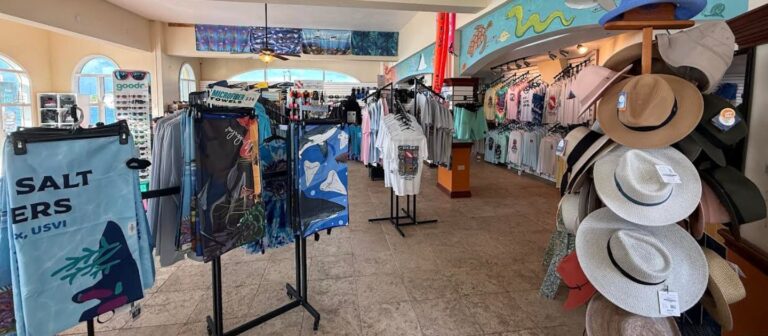 feat Blue Salt Divers 1 1 768x336