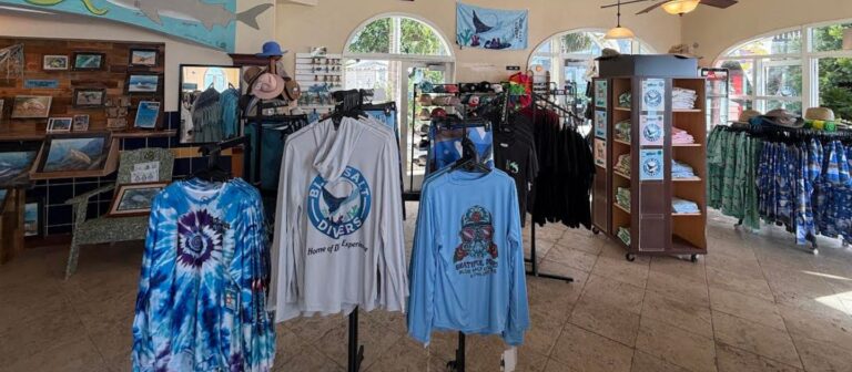 feat Blue Salt Divers 2 768x336