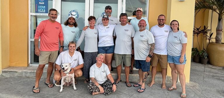 feat Blue Salt Divers 6 768x336