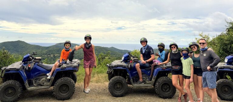feat Gecko Island Adventure 1 768x336