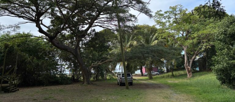 feat Nest At Cane Bay 2 Copy 768x336