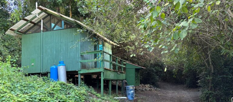 feat Nest At Cane Bay 3 Copy 768x336