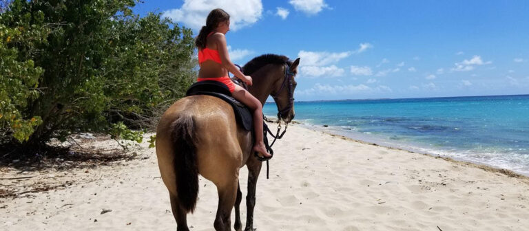 feat cruzan cowgirls young girl 768x336