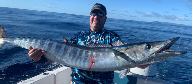 feat hook and sun big fish2025 768x336