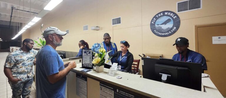 gallery fly the whale airport check in 768x335