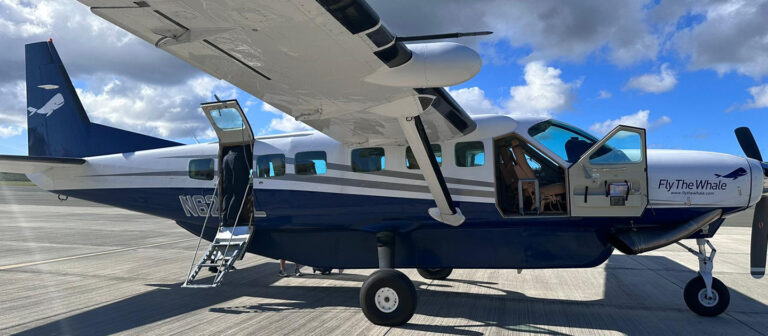 gallery fly the whale cessna cvi port authority 768x336