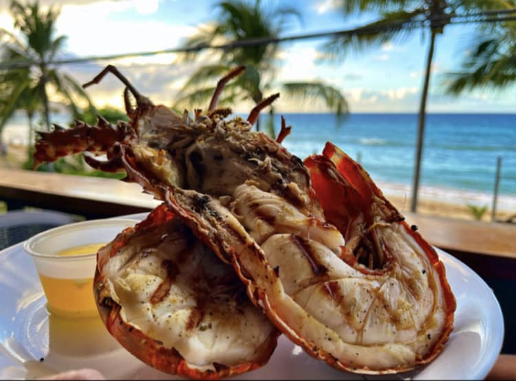 landing bar lobster plate fb
