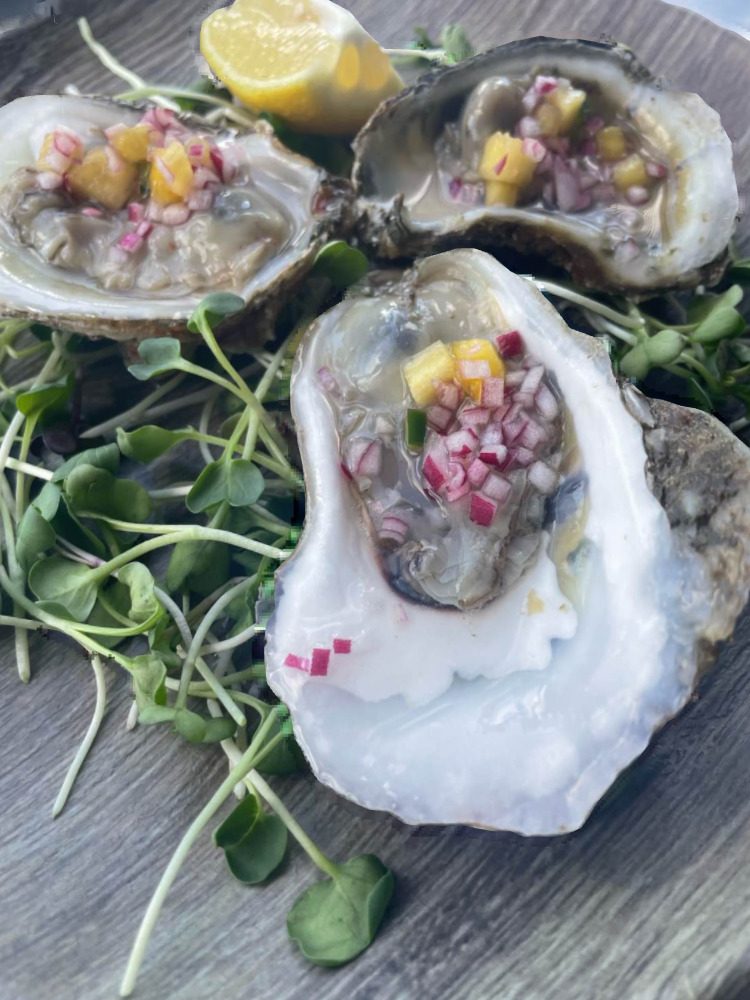 oysters
