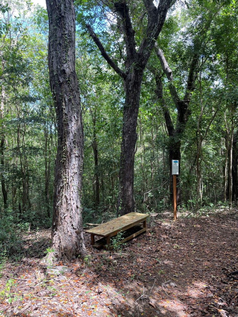 resized VITAL windsor trail gotostcroix 768x1024