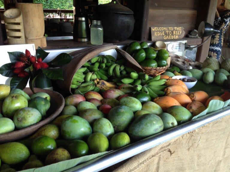 ridge to reef fruit 768x576