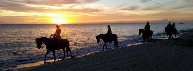 slide cruzan cowgirls sunset ride 768x282