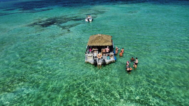 tropical tiki tours aerial fb 768x432